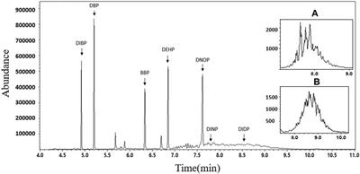 Quantitative composite testing model based on measurement uncertainty and its application for the detection of phthalate esters